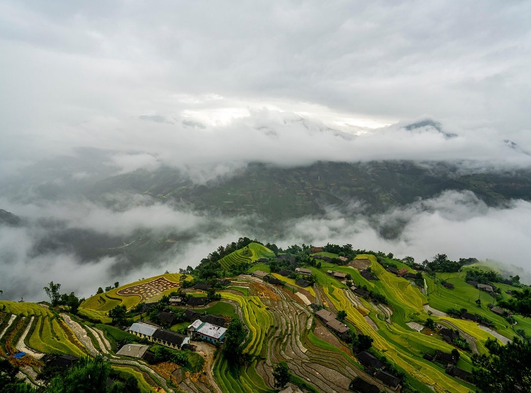 Practical Steps and Placements to Consider