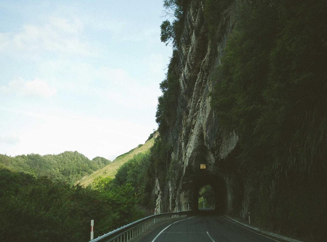 Solving Common Login Issues: Password Resets and Account Help