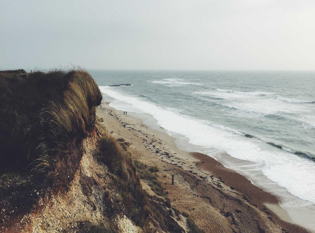 Warning: How to Spot and Avoid 'Free Jilihow' Scams