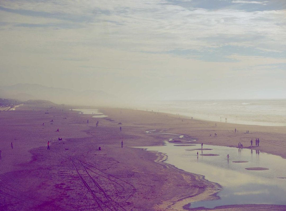 After the Bite: Proper Wound Care and When to Be Concerned